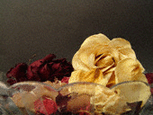 roses0009.gif